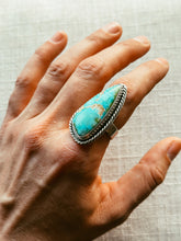 Load image into Gallery viewer, Sonoran Gold Turquoise Ring - Size 9
